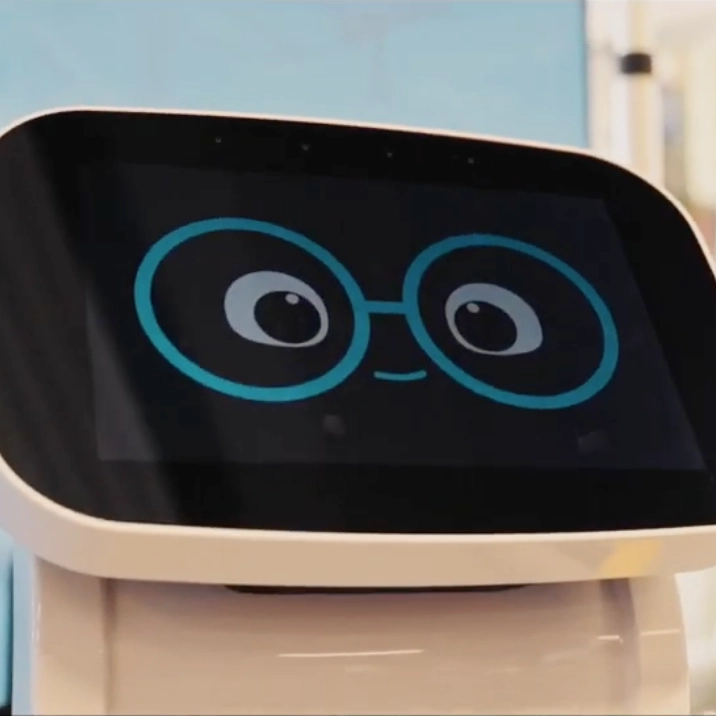 United Log Delvery Robot D 80 Screen Face